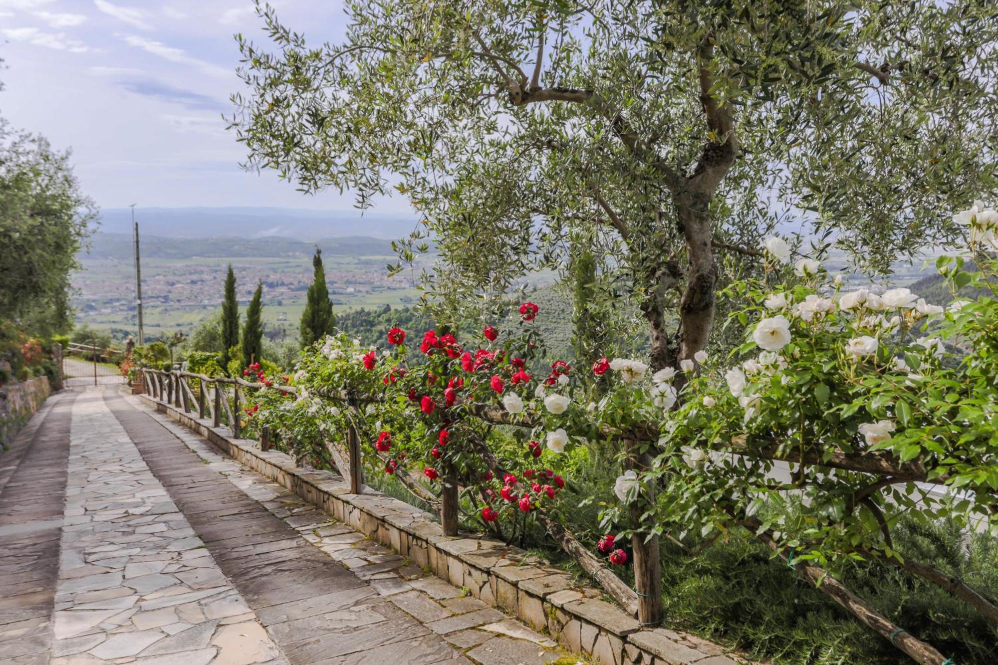 Villa Sii Felice Buti Exterior foto